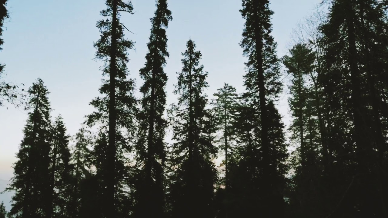 Beauty of hiking track murree kashmir point