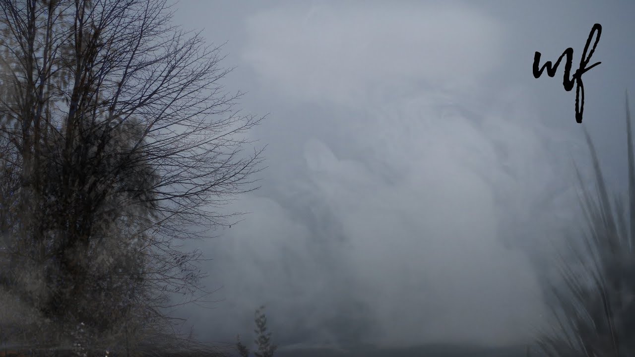 Foggy Night ASMR Ambience