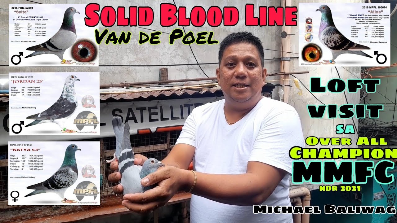 SOLID BLOODLINE of Van de poel MMFC Over All CHAMPION NDR 2021 michael baliwag..