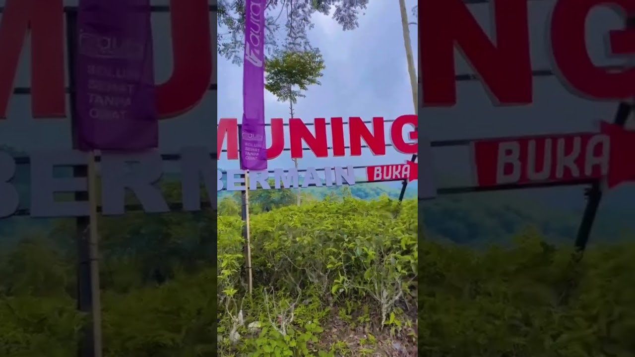 Paket Outbound, Jeep Adventure & River Tubing Kemuning