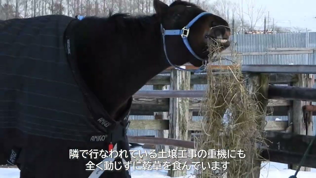 工事の音もへっちゃらなアドミラブル
