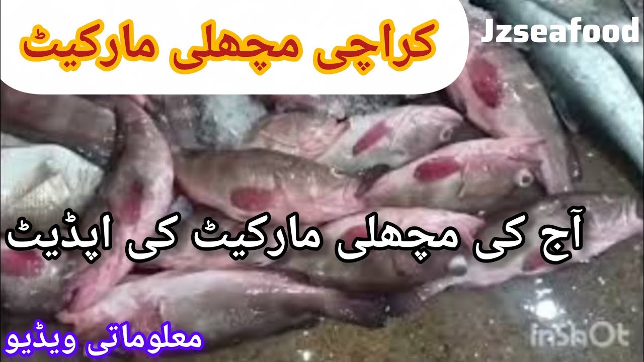Today Karachi Fish Market 🐟 | Ghissar, Indian Mackerel, Mulla Fish & Prawns Price Update
