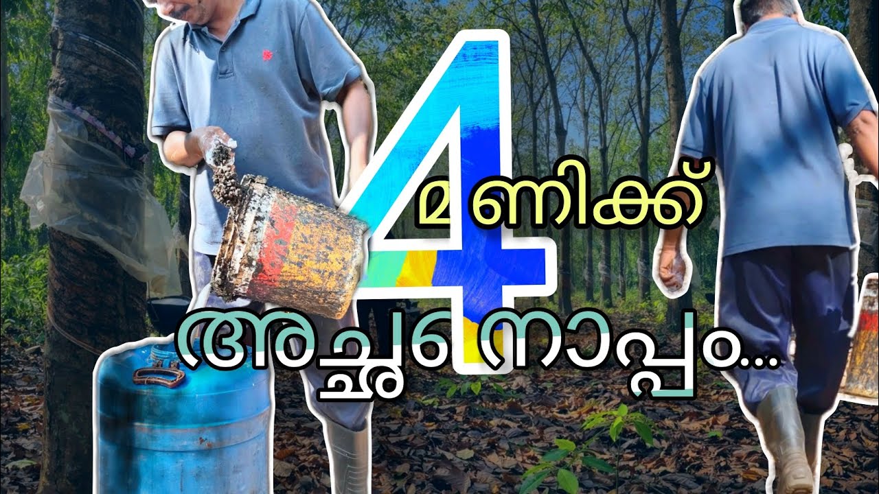 A Simple Morning with My Dad ❤️ | 4AM Village Vibes" mini vlog | malayalam | Nilambur 