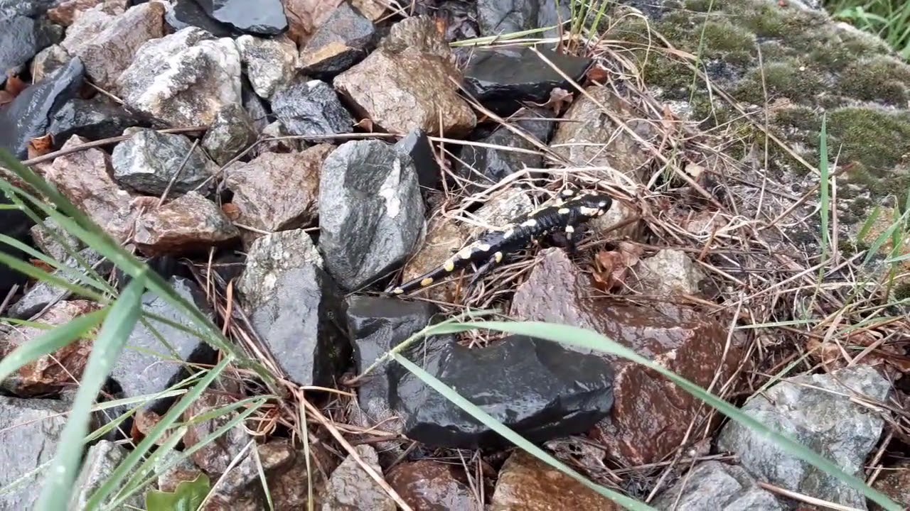 baignade de 5h aux bains chauds sauvages de Thuès