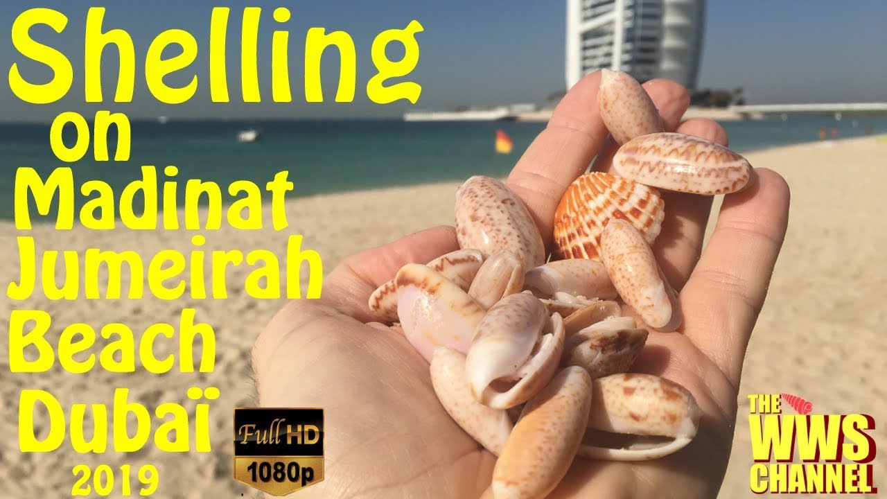 Shelling at Dubai Madinat Jumeirah Beach 2019