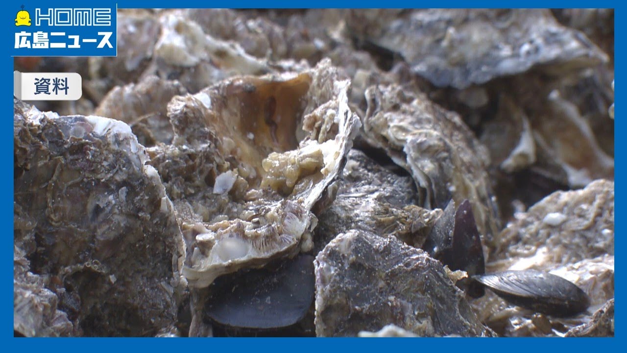 【カキ大量死】原因究明と対策求める 広島県漁連｜HOME広島ニュース
