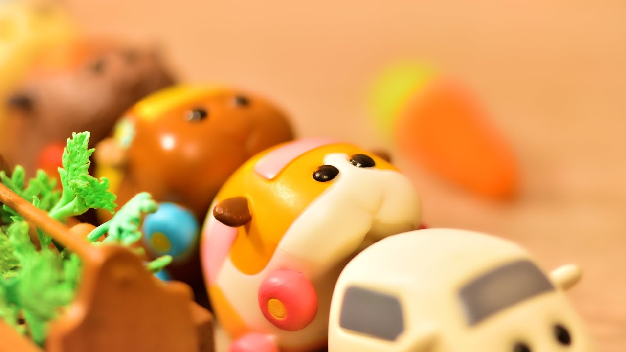 Размножающийся автомобиль морской свинки. ПУИ ПУИ!