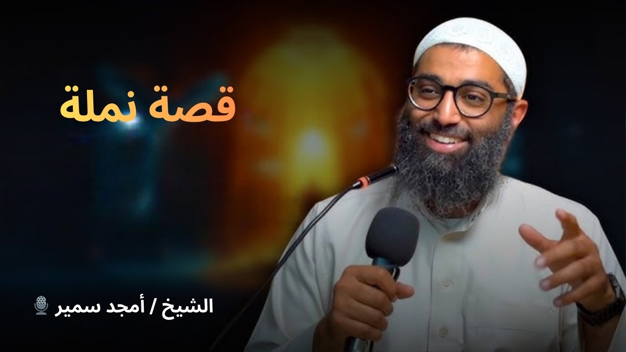 قصة نملة | تأملات في سورة النمل
