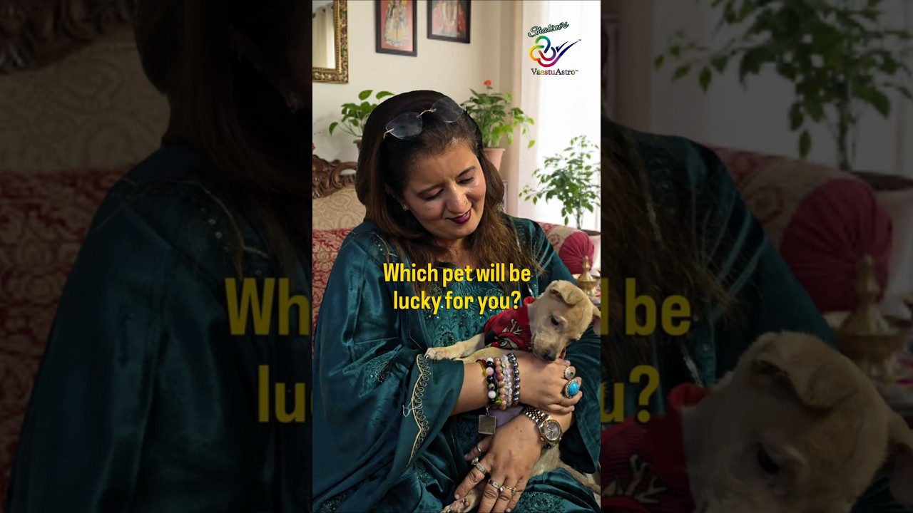 Which Pet Is Lucky For You? 