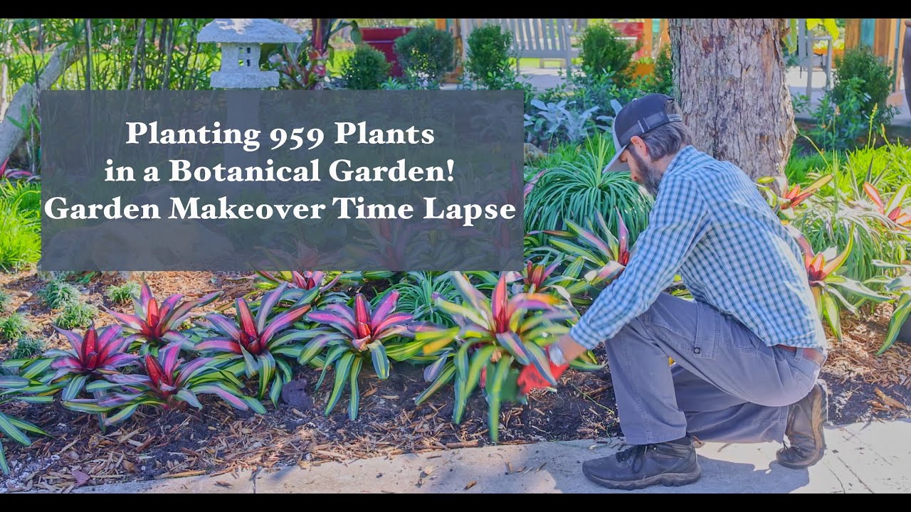 My first Botanical Garden Installation at Marie Selby Botanical Gardens. #gardenmakeover