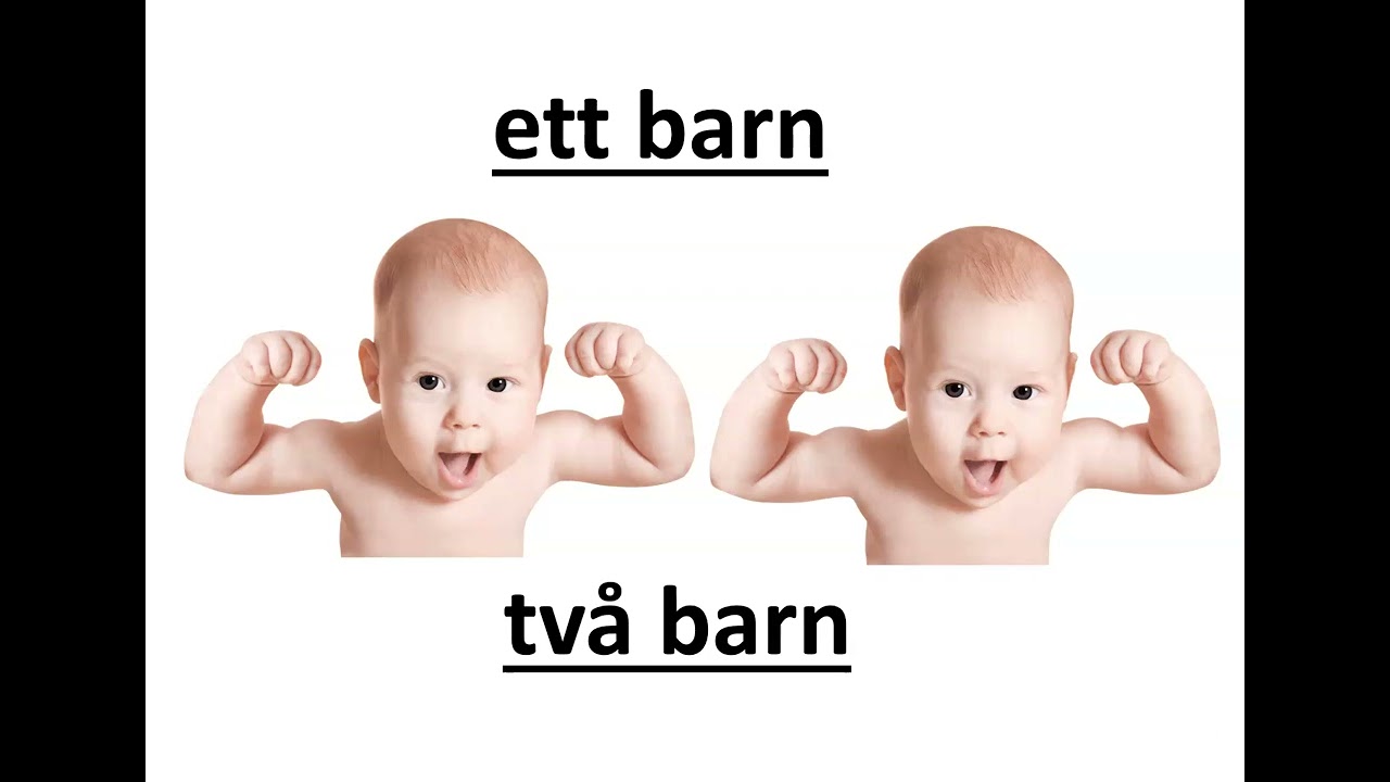 sfigunilla SFI substantiv singular och plural
