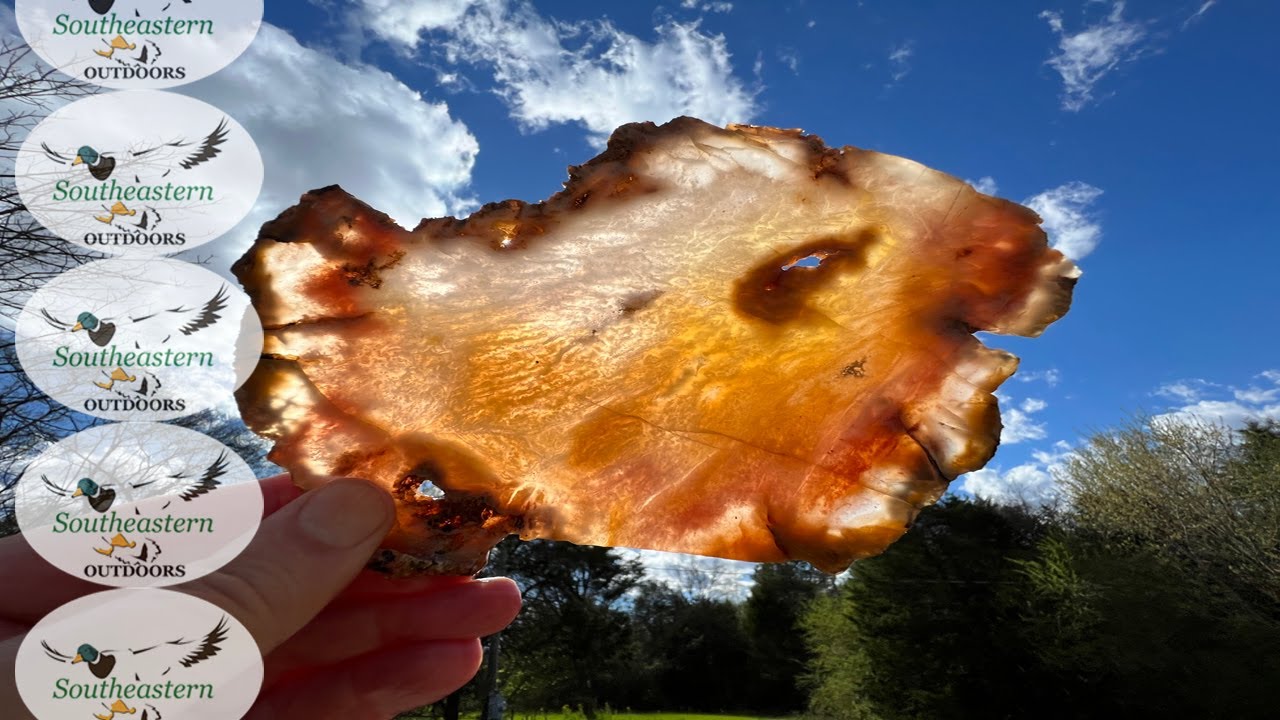 Alabama Rock Hunting - Paint Rock Agate, Jackson Co. AL - April 9, 2022