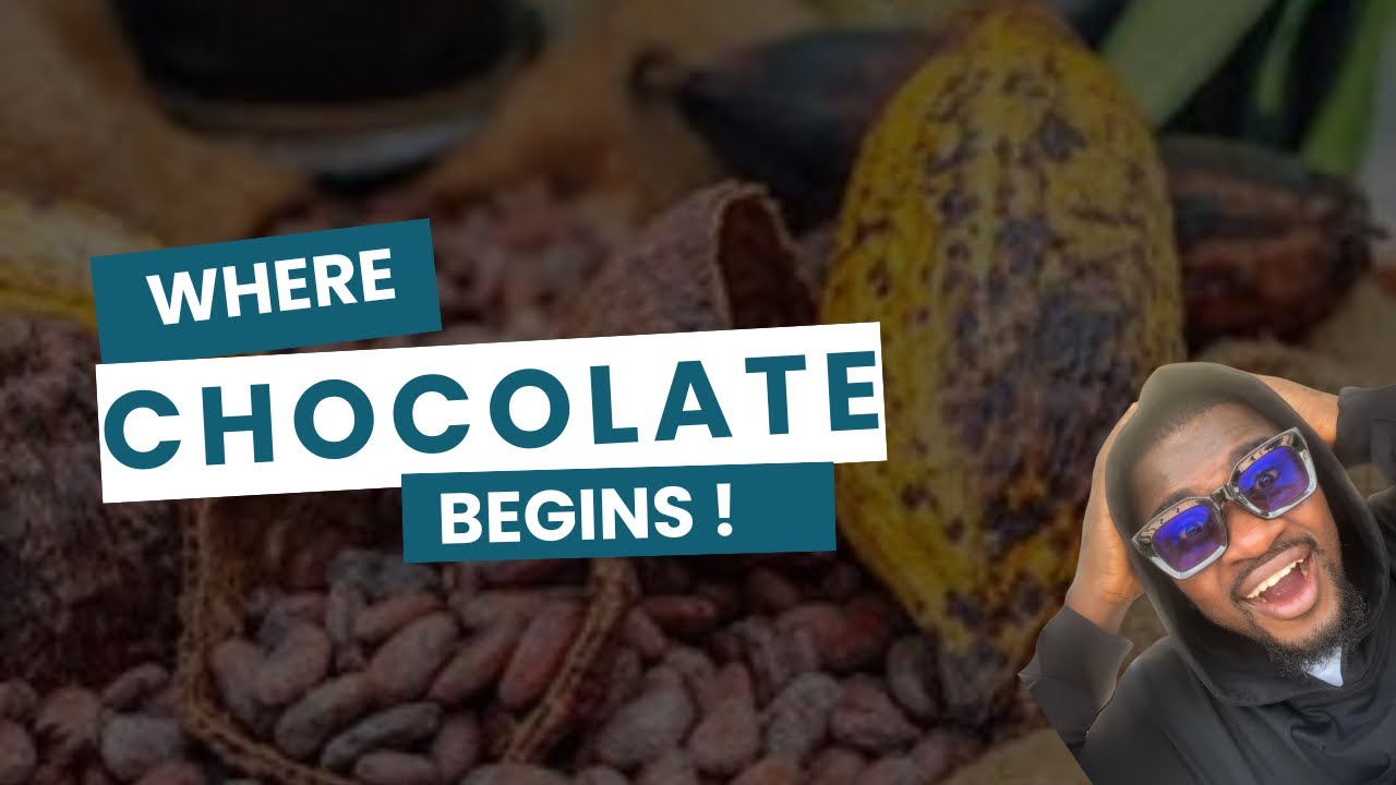 How this African cocoa farmer made millions with this magic seed!
