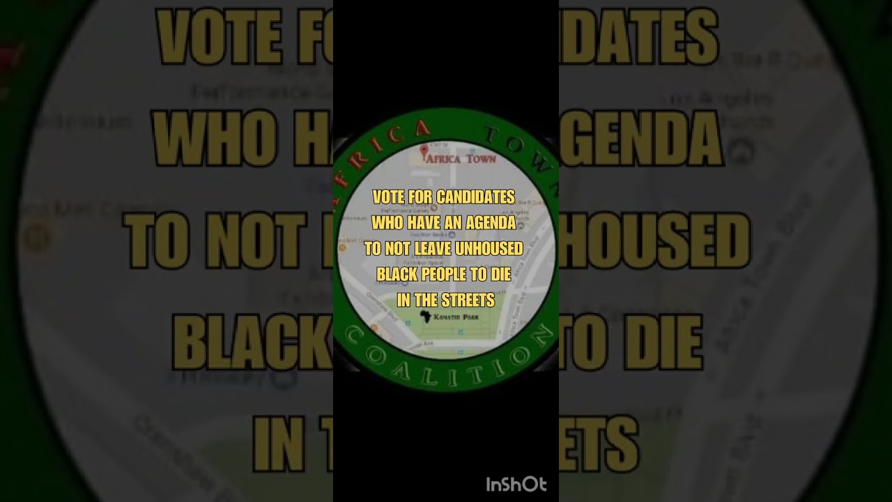 BLACK VOTERS GUIDE 2024