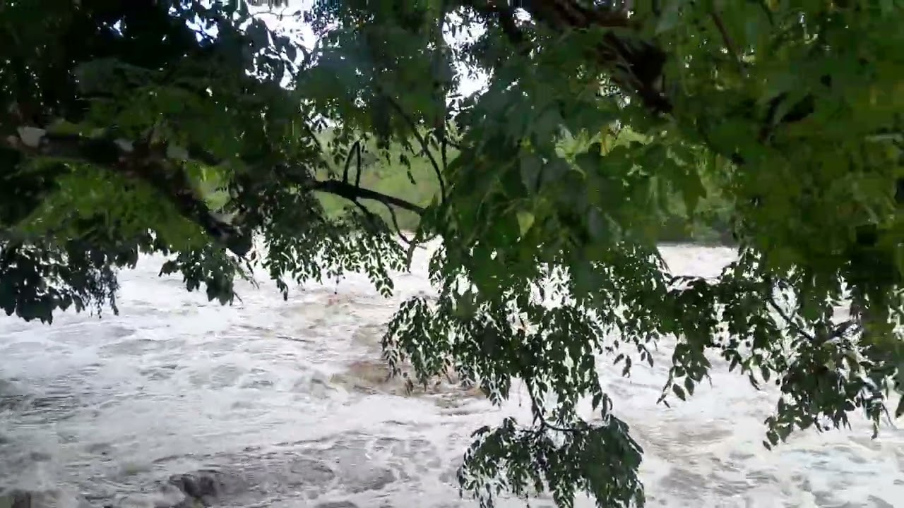 Com as últimas Chuvas Nível do Rio Canhoto fica elevado  em canhotinho  27/02/2026