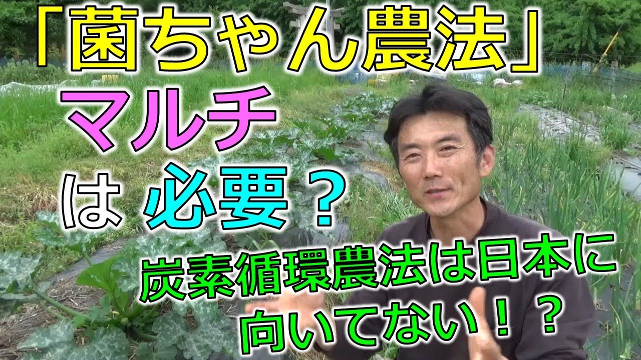 「菌ちゃん農法」マルチは必要？炭素循環農法は日本にはむいてない！？