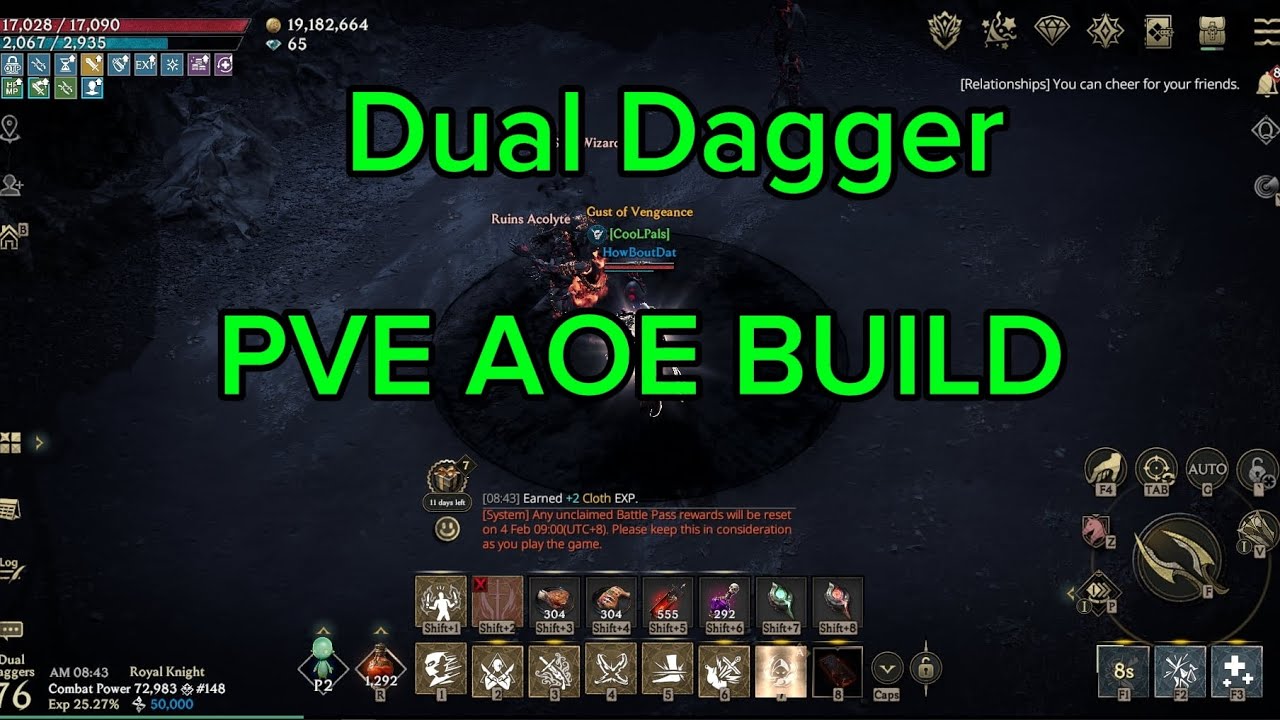Lordnine Dual Dagger PVE AOE BUILD