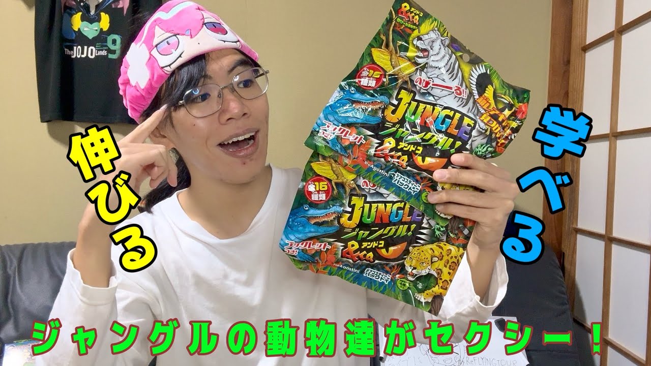 ジャングルの猛者達大集合‼️『ジャングル&Co.』開封レビュー！！！【デアゴスティーニ】