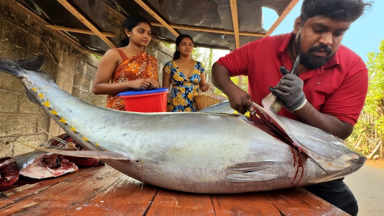 Wow!! Beautiful Massive Yellowfin Tuna Cut Nature Rural Village Worth Fish Market Hidden Paradise