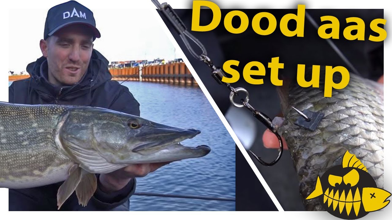 How to: De dood aas set up van specialist Erik Visser