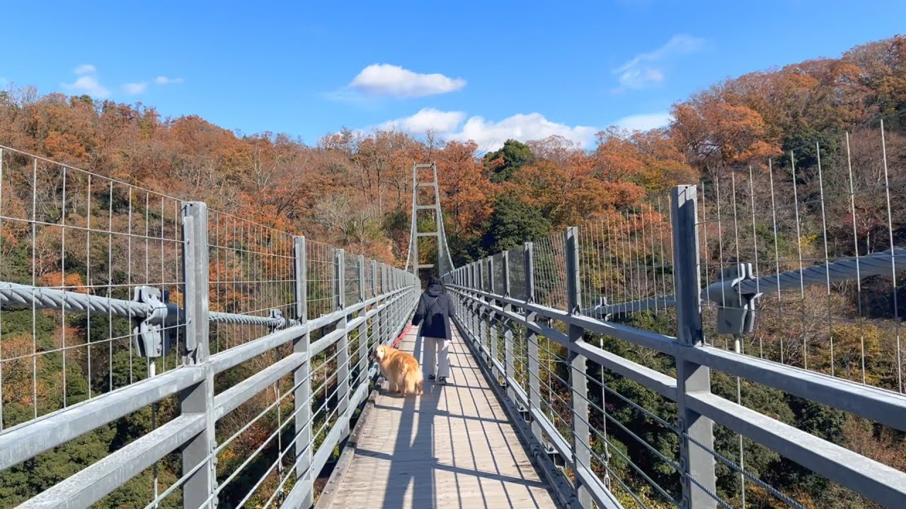 愛犬ルルとスリル満点の吊り橋