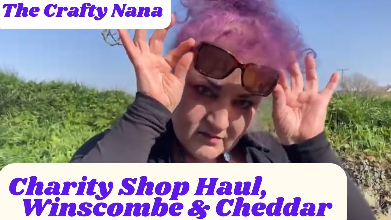Is This Somerset's Best Charity Shop? Winscombe RSPCA
