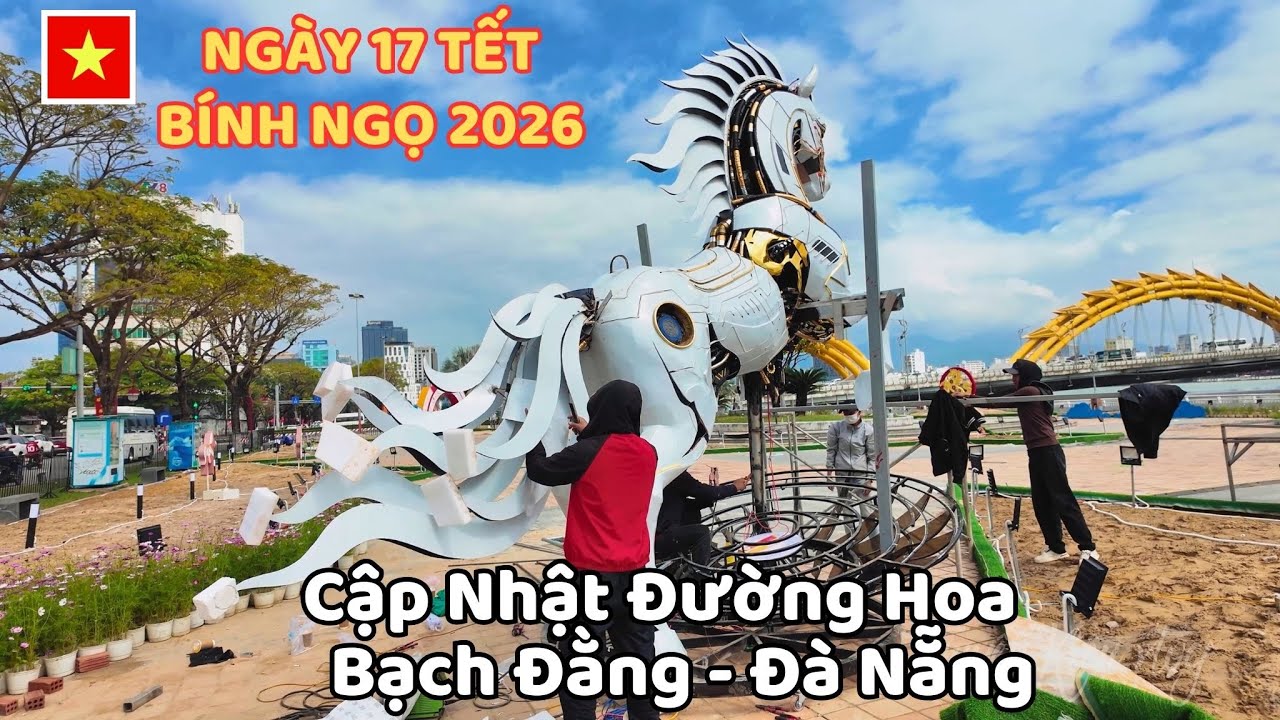 Ngày 17 Tết Bính Ngọ 2026 , Cập Nhật Đường Hoa Bạch Đằng - Đà Nẵng