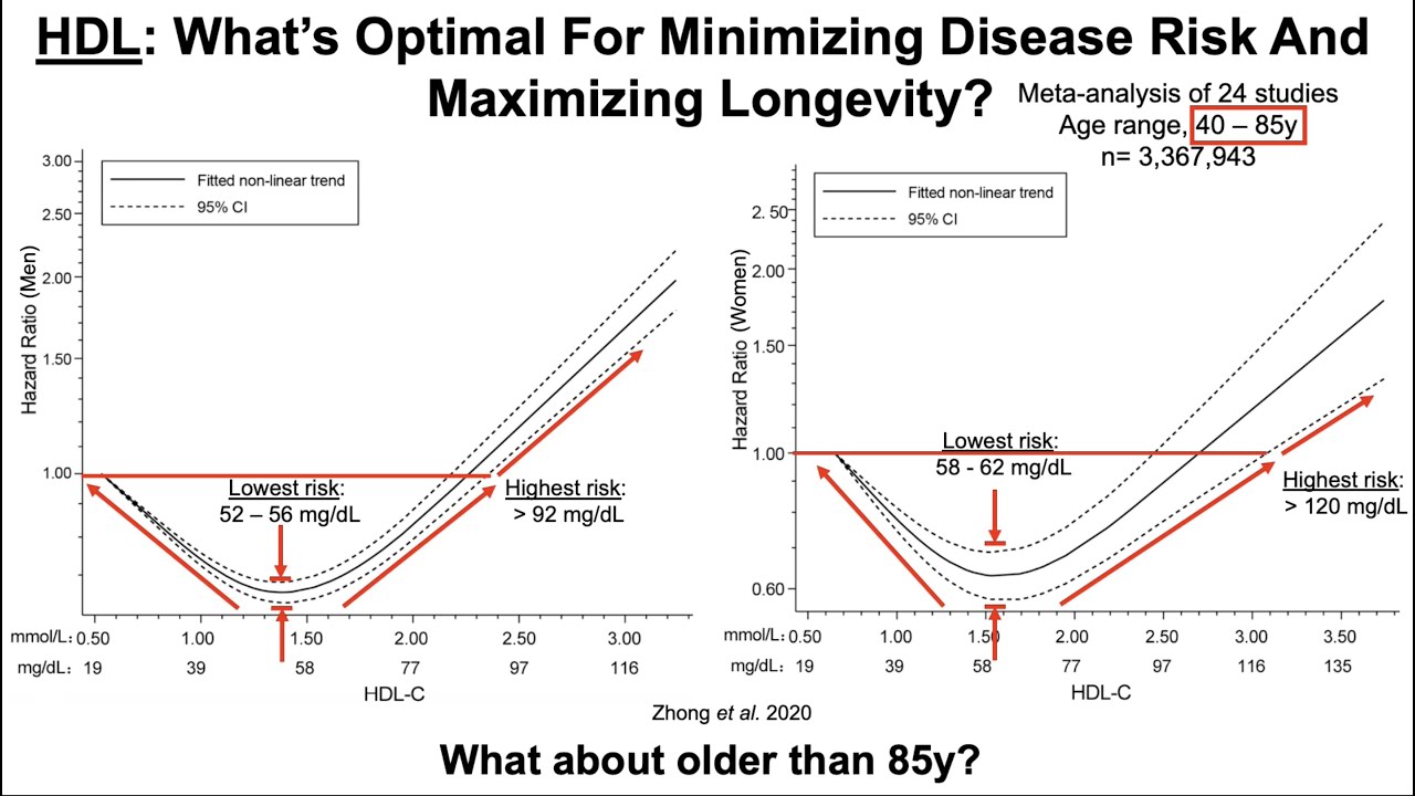 HDL: What's Optimal For Minimizing Disease Risk And Maximizing Longevity?
