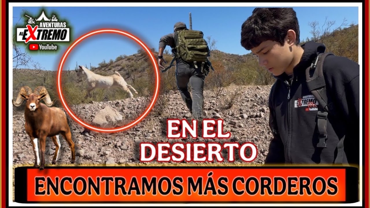 CORRIMOS TRAS DE ELLOS PERO SON MUY ÁGILES