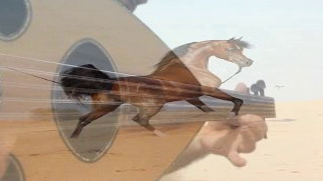 يا الخيل انا كنت احبك - علي هديان (حصرياً)