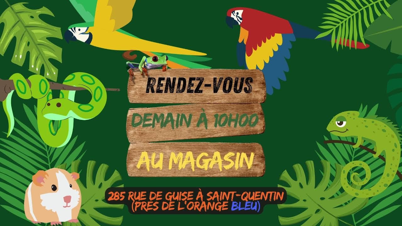 Live Jurassic Nac du 13/06 à 20h30