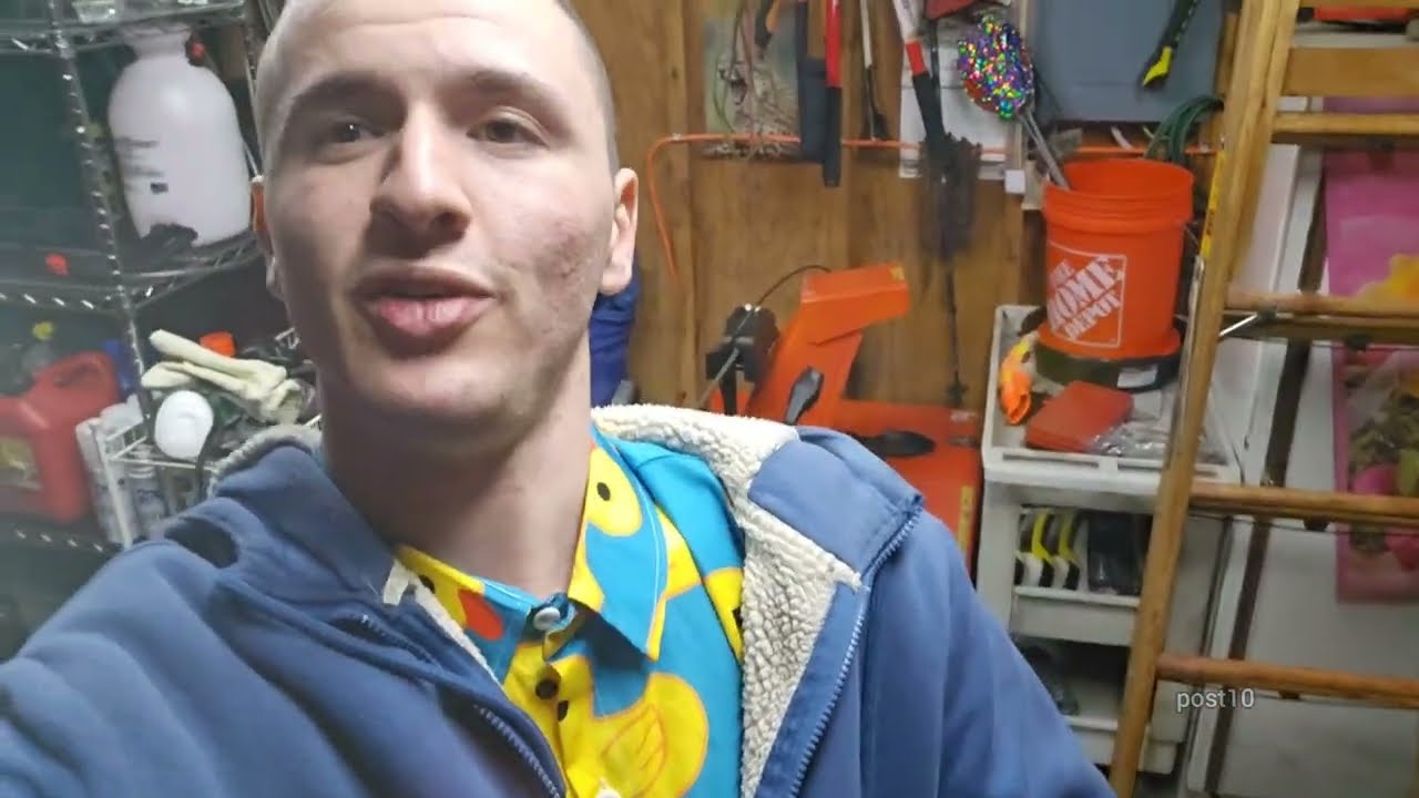 November 6th 2023 Feeding Fish And Walk Through The Forest Vlog