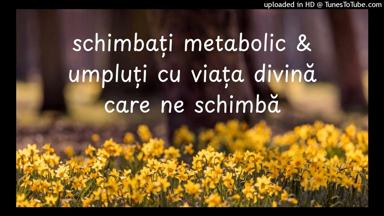 schimbați metabolic & umpluți cu viața divină care ne schimbă