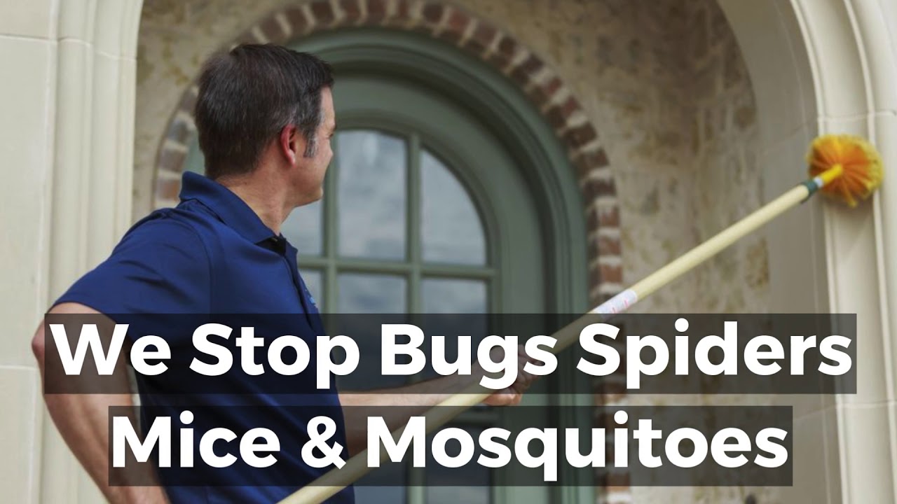 Best Houston Pest Control