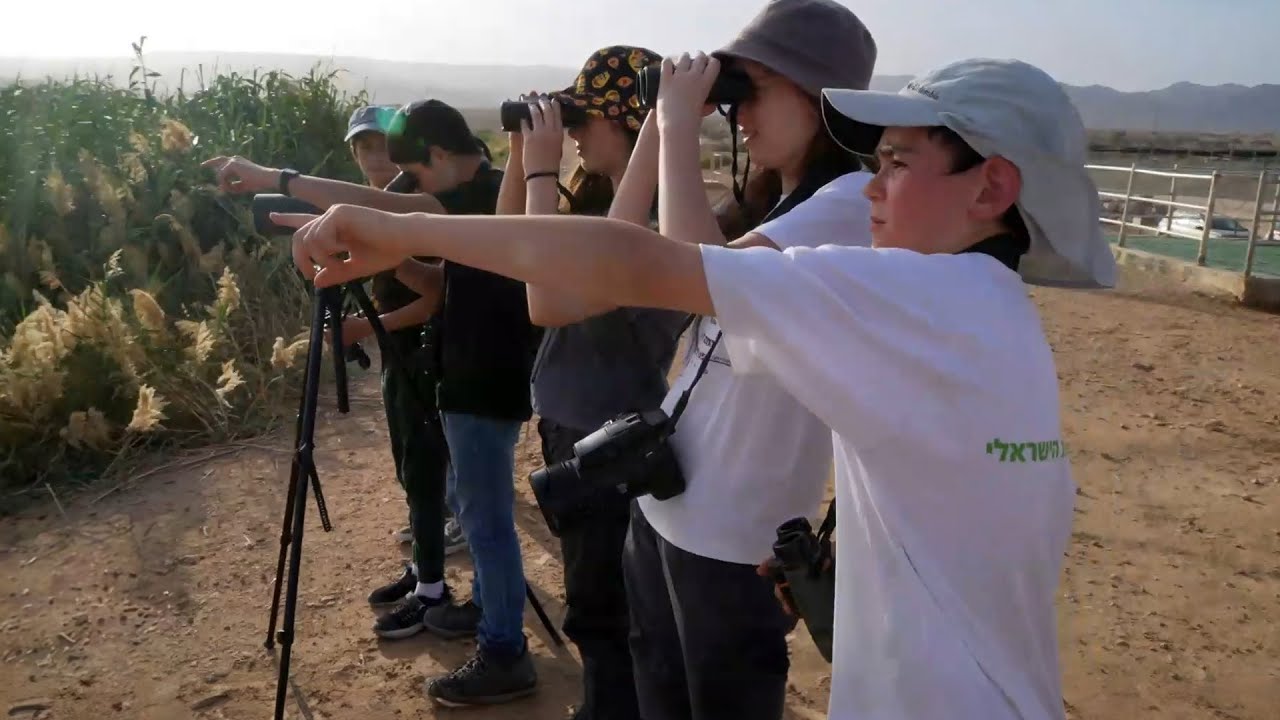 אלופי הנדידה: חובבי הצפרות התכנסו לזהות מעופפים בשמי אילת