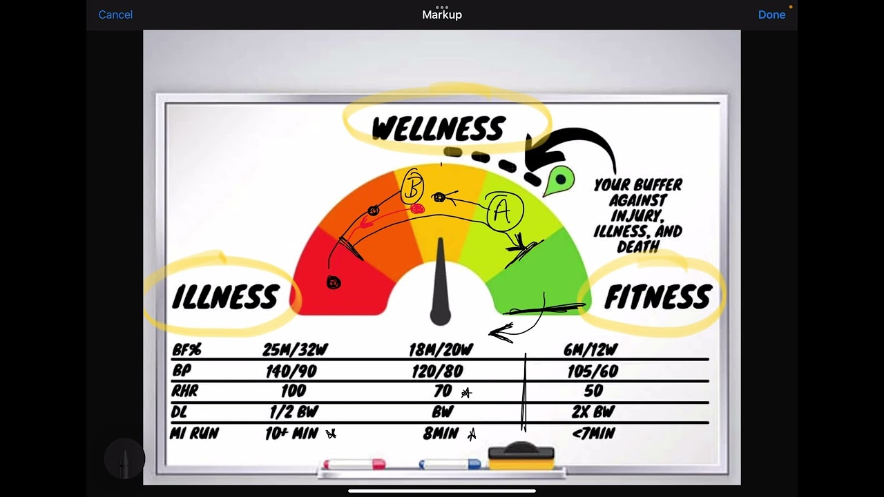 The Sickness-Wellness-Fitness Continuum
