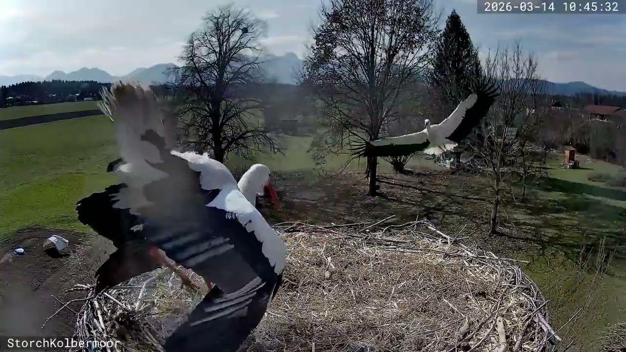 Ärger im Paradies - ALEXANDER !!!