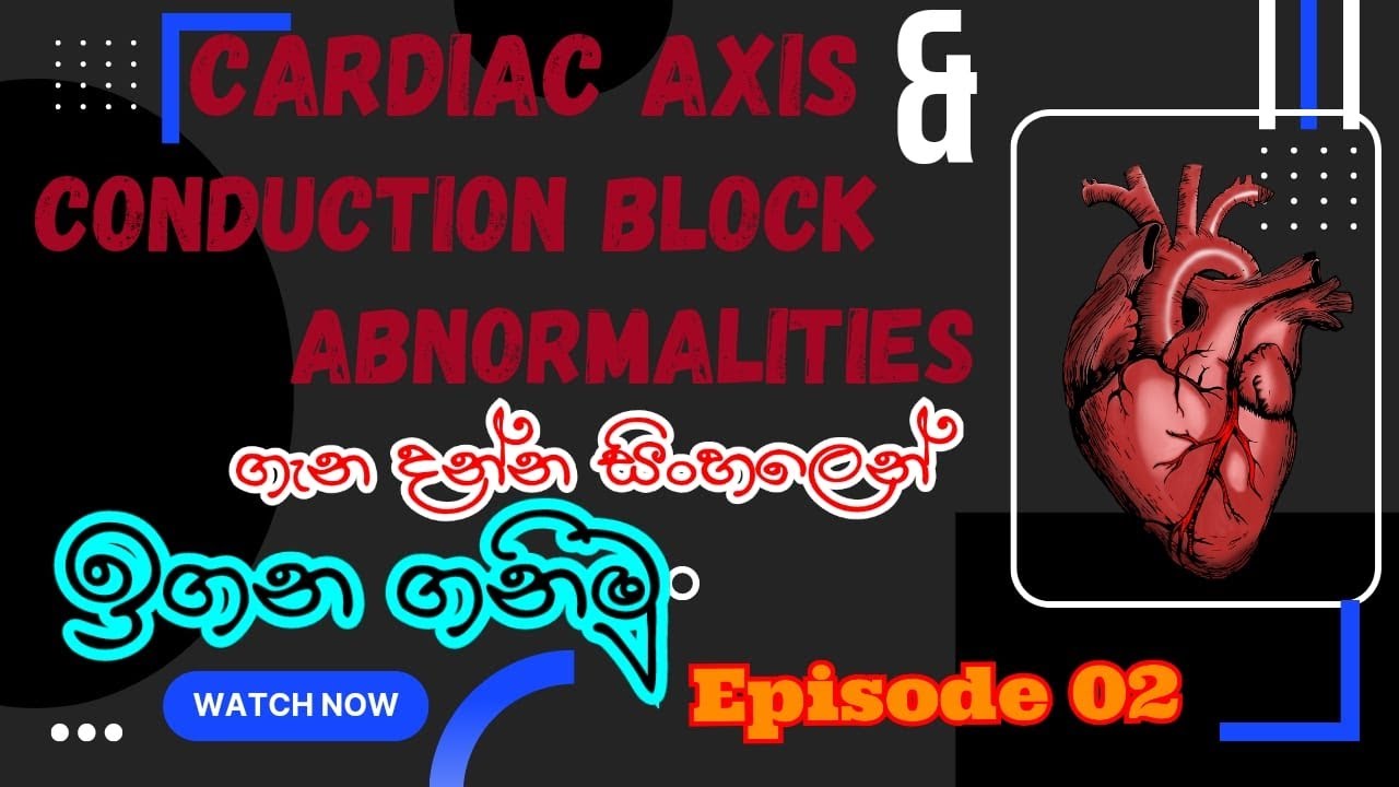 Cardiac axis | Conduction block abnormalities | Cardiovascular physiology | Ep 2 | EduLIFE Solutions