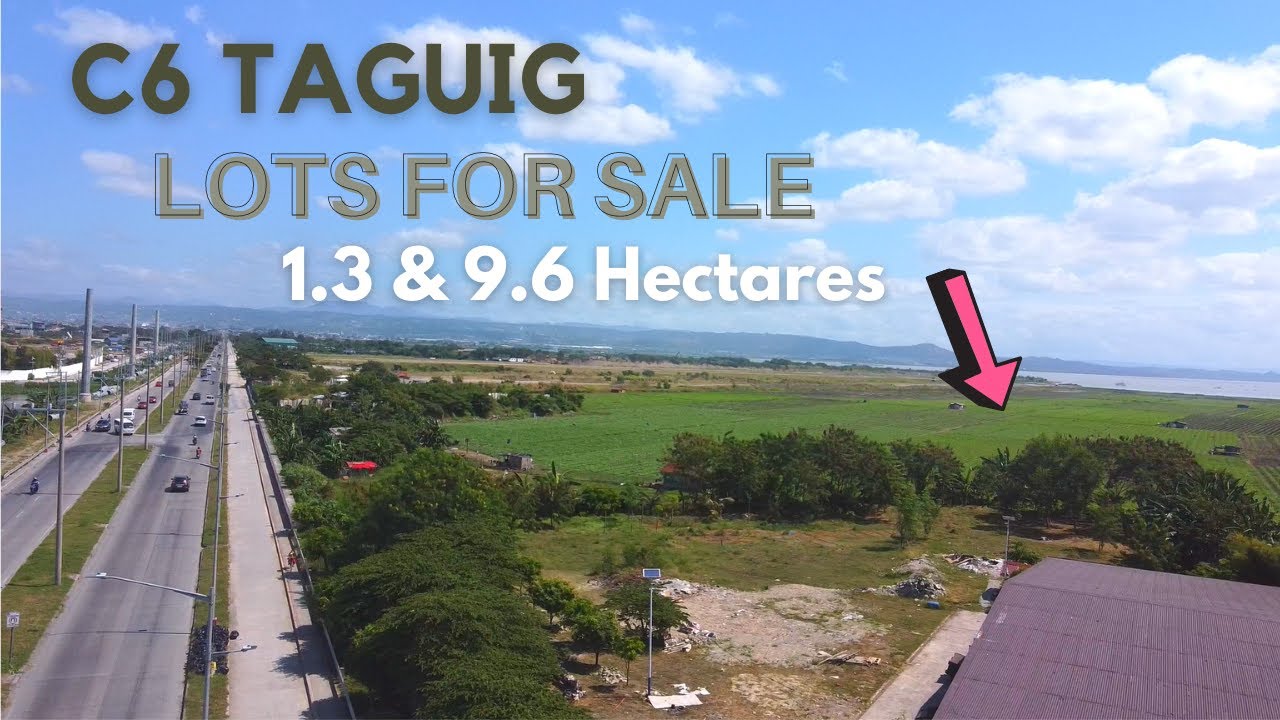 Property Tour | C6 Taguig Lots For Sale | 1.3 & 9.6 Hectares in Sta. Ana Taguig City
