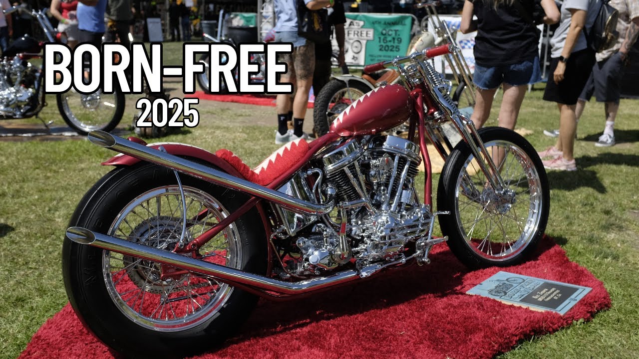 Born Free 2025 invited builders section #DicEtv