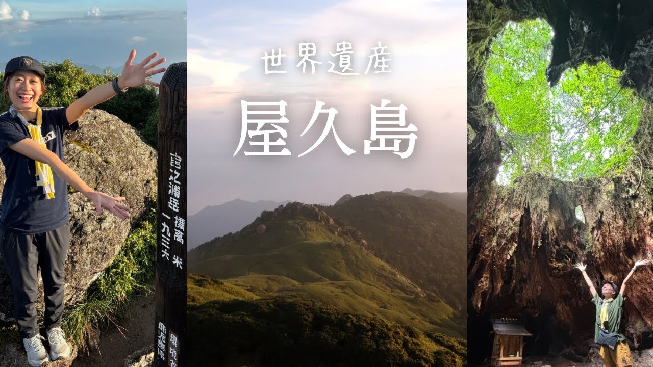 【縦走登山】世界遺産の森を大冒険👫🌳白谷雲水峡-宮之浦岳-淀川登山口
