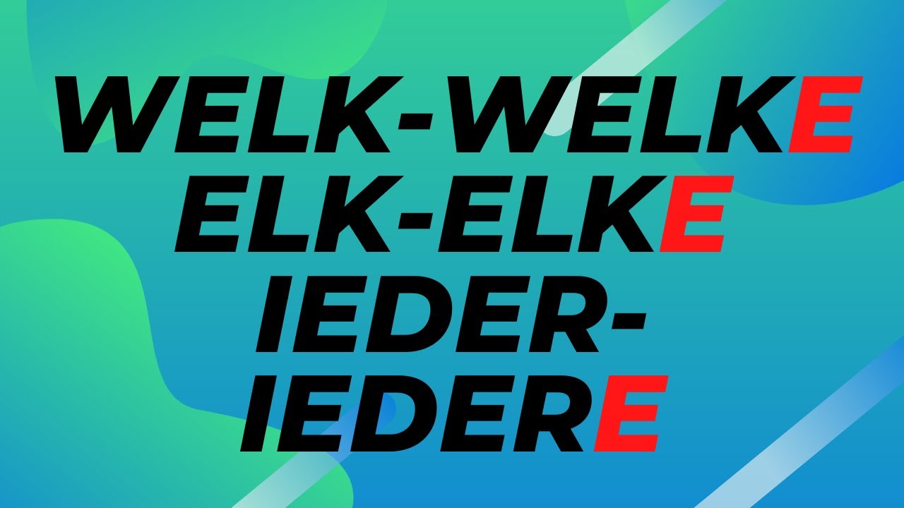 Welk- Welke, Ieder- Iedere, Elk-Elke, Zulk-Zulke... detaylarını öğrenelim!