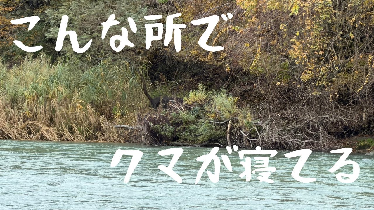 狸寝入りしてる山親父