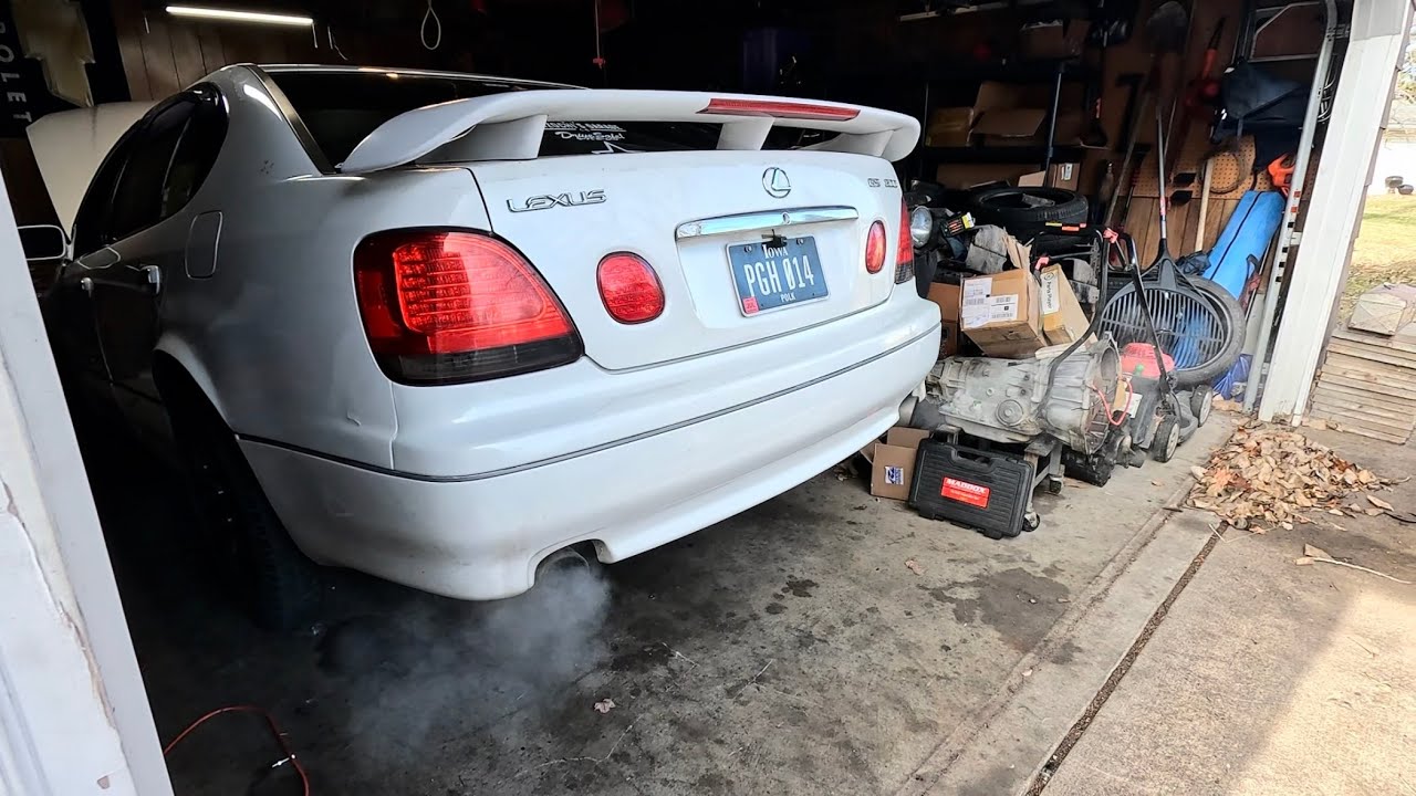 My cats were clogged on my LEXUS 🫠