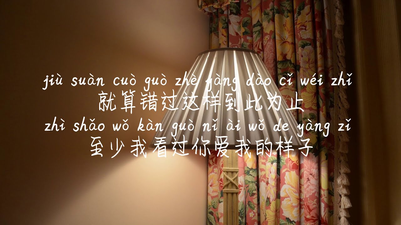 【我看过-周星星】WO KAN GUO-ZHOU XING XING(ZEALOT) /TIKTOK,抖音,틱톡/Pinyin Lyrics, 拼音歌词, 병음가사/No AD, 无广告, 광고없음
