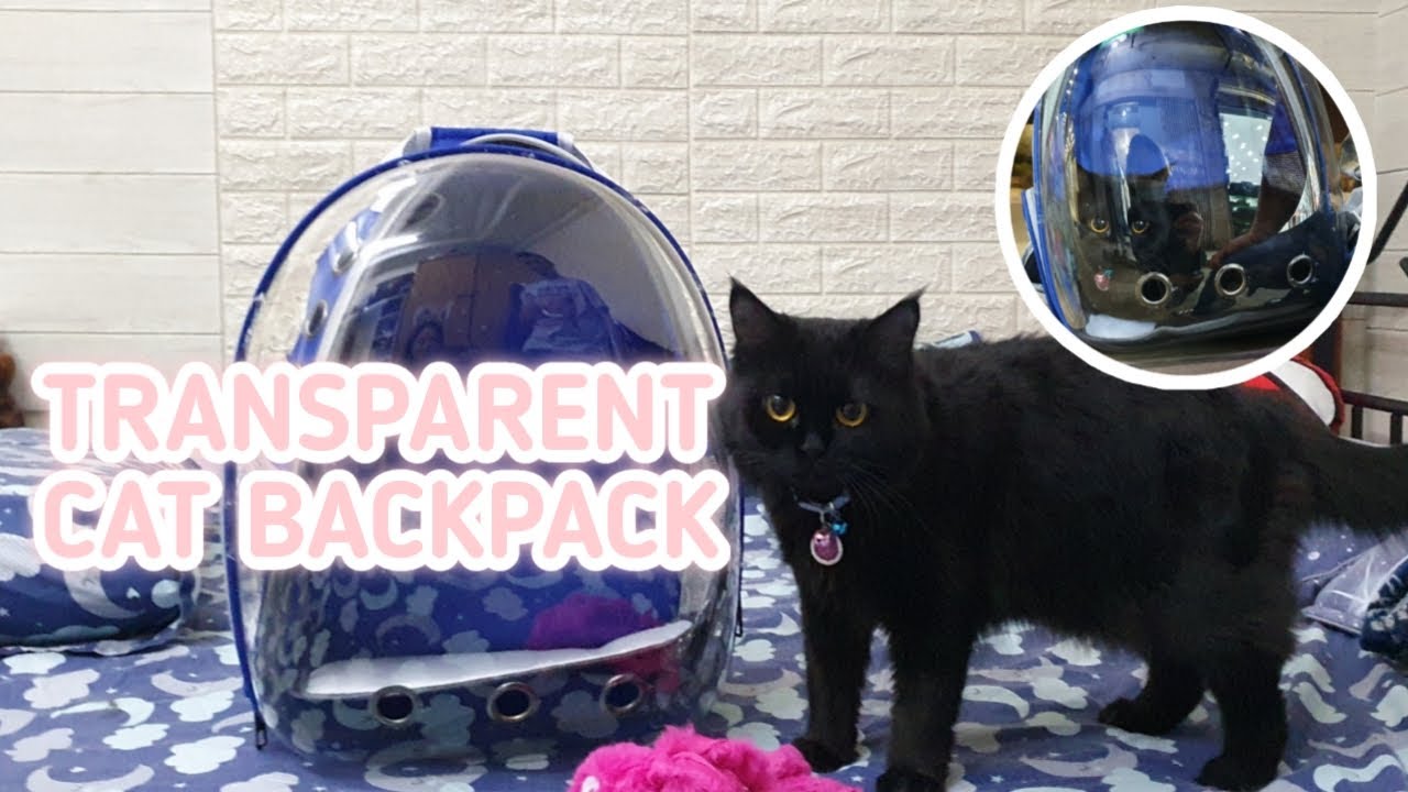 UNBOXING CAT BACKPACK FROM AMAZON | RobeGen❤