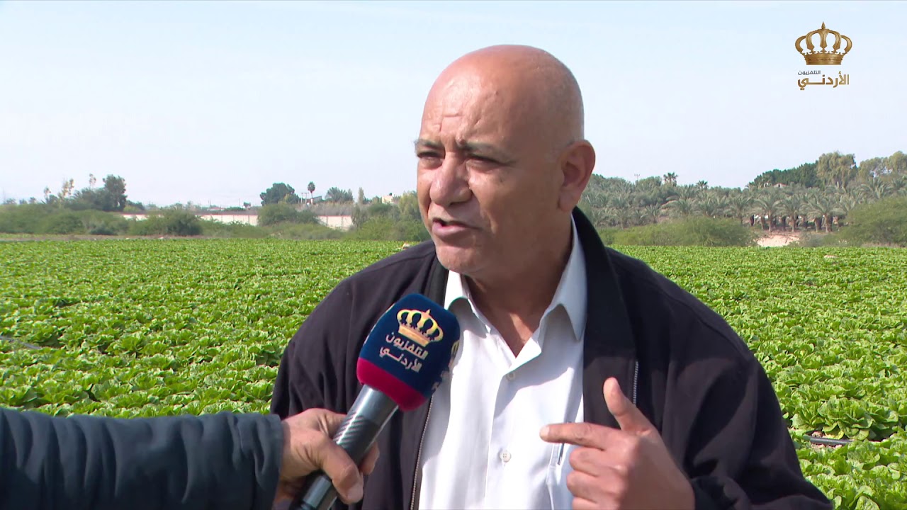 مزارعو وادي الأردن يثمنون تخفيض رسوم تصاريح العمل في قطاعي الزراعة والمخابز