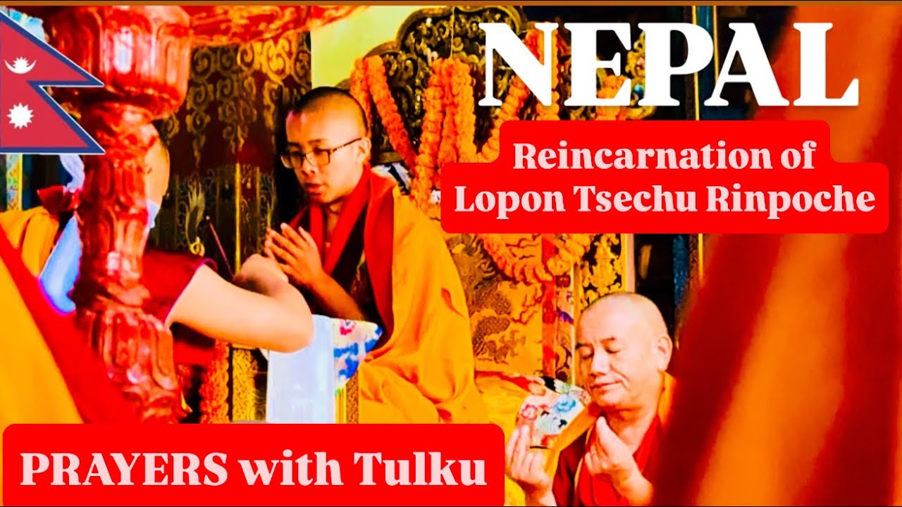 🇳🇵Nepal: Monks’ Prayers with Tulku Jigme Choeying Norbu, Yangsi of Lopon Tsechu Rinpoche | Kathmandu