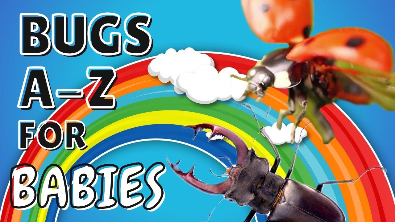 Bug Alphabet | Insects for Toddlers | Phonics for babies | Learn your ABCs | Bugs A-Z