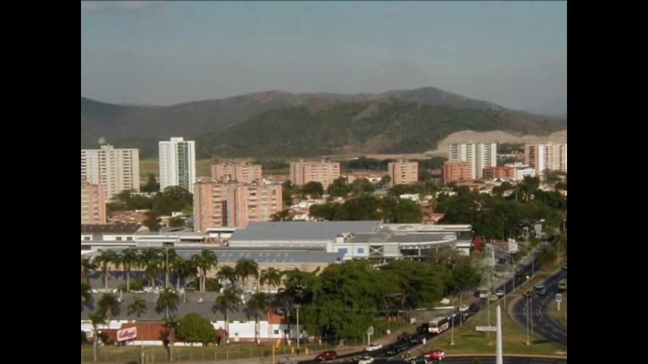 Guaco Maracay - siguenos en Instagram en maracayeros por el mundo